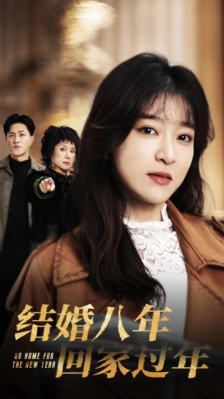 16561结婚八年回家过年30集