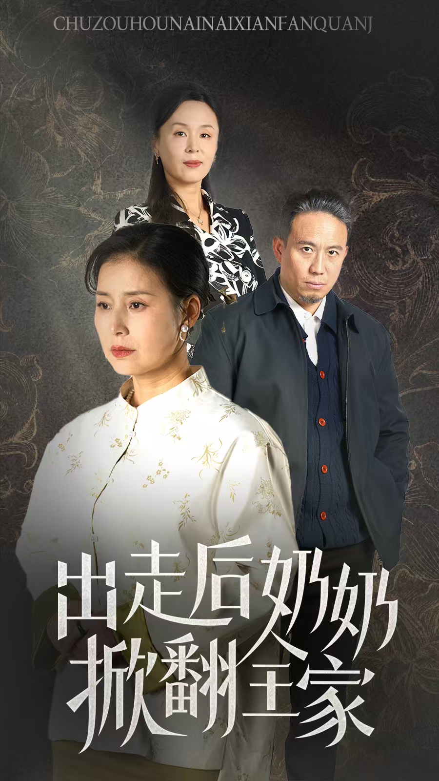 16893出走后奶奶掀翻全家30集