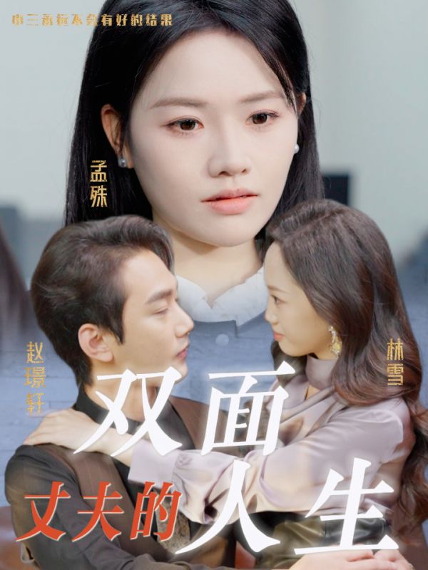 16913丈夫的双面人生30集