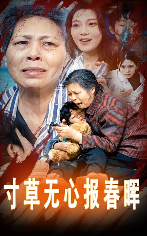 16929寸草无心报春晖孝子慈孙31集