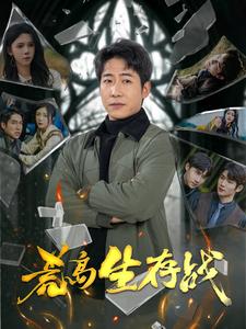 16933荒岛生存战94集